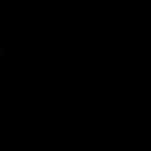 Meet your Posher, Isela